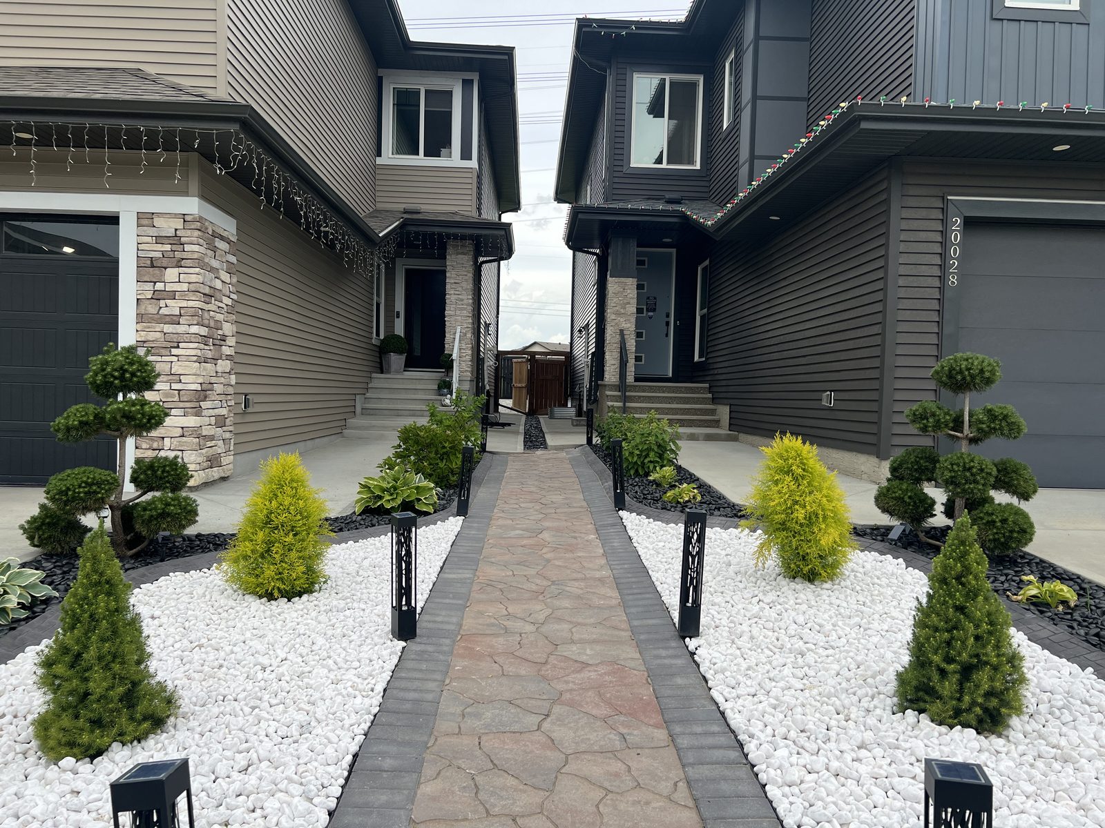 Front Yard